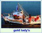 gold lady's